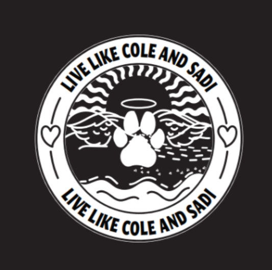 Live Like Cole & Sadi Black Hoodie